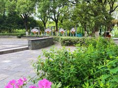 -桐乡植物园