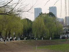 -堤角公园