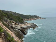 -广东惠东海龟国家级自然保护区