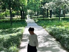 -唐城墙遗址公园