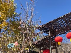 -遵化市禅林寺古银杏风景园