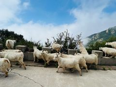 -白草畔自然风景区