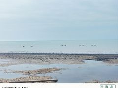 -青海湖仙女湾景区