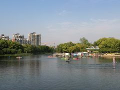 -新江湾城公园