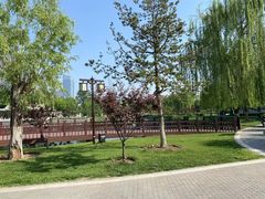 -西海子公园