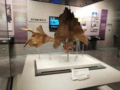 -北京周口店北京人遗址博物馆