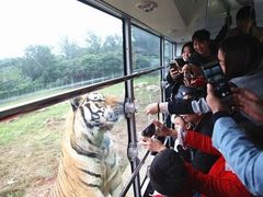 -西安秦岭野生动物园