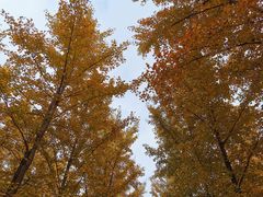 -汉景帝阳陵博物院