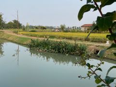 -嘉北郊野公园