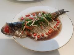 -大班家政月嫂育儿嫂(深圳NO.1店)