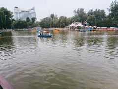-莲湖公园