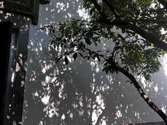-南京市民俗博物馆(甘熙故居)