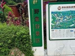-野象谷景区