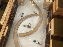 -福禧酒窖·中餐厅 (万柳店)