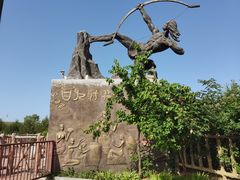 -太阳部落