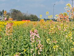 -中国天府农业博览园