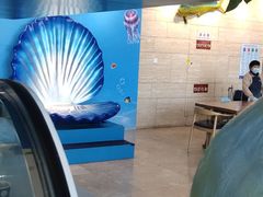 -贝林大翅鲸简餐厅(国家海洋博物馆店)