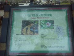-广州市石门国家森林公园