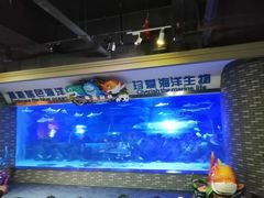 -成都浩海立方海洋公园