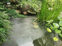 -凤凰山斑鱼馆(恭城店)