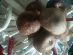 -山东八大碗山东老字号