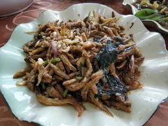 -幽优农庄·森波拉特色本地农家菜