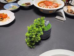 -曼格纳·曼芯馆(杨浦店)