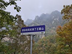 -王顺山国家森林公园