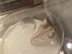 -AOI洋菓子