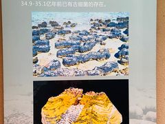 -陕西自然博物馆