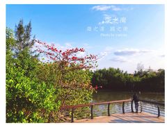 -深圳湾公园(南山区)