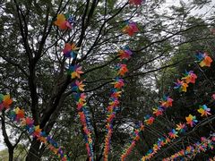 -松山湖梦幻百花洲