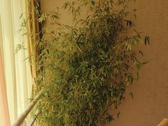 -海天一色海景自助餐厅(西港花园店)