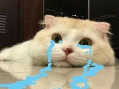 -同堂韩国料理炭火烤肉(彩虹广场店)