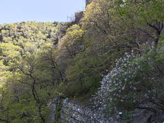 -北京鹫峰国家森林公园