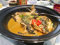 有机鱼头-春盛渔府(牛首山店)