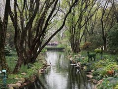 -上海共青森林公园