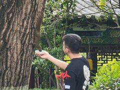 -MAP CHA普洱茶馆(翠湖店)