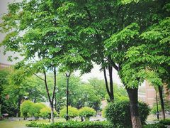 -东北师范大学(净月大街校区)