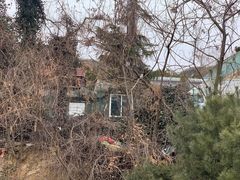 -石老人观光园