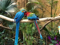 -杭州开元森泊度假乐园