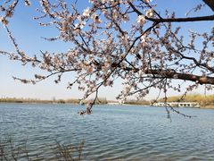 -大兴滨河森林公园