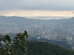 -长虫山生态公园风景林