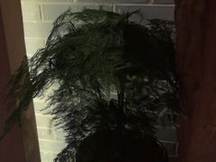 -足本纪·足道 SPA 简餐 小吃(文三西路店)