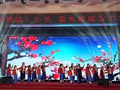 -北京市陈经纶中学