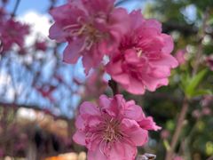 -三溪村
