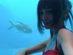 -瑞德姆美人鱼海底演艺主题餐厅(亚龙湾店)