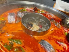 酸汤鱼（鮰鱼）-不老溪贵州菜(广安门总店)