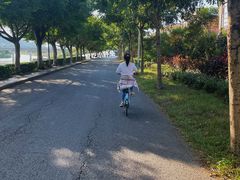 -艾米稻香小镇