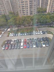 -上海交通大学医学院附属上海儿童医学中心(陆家嘴总院区)